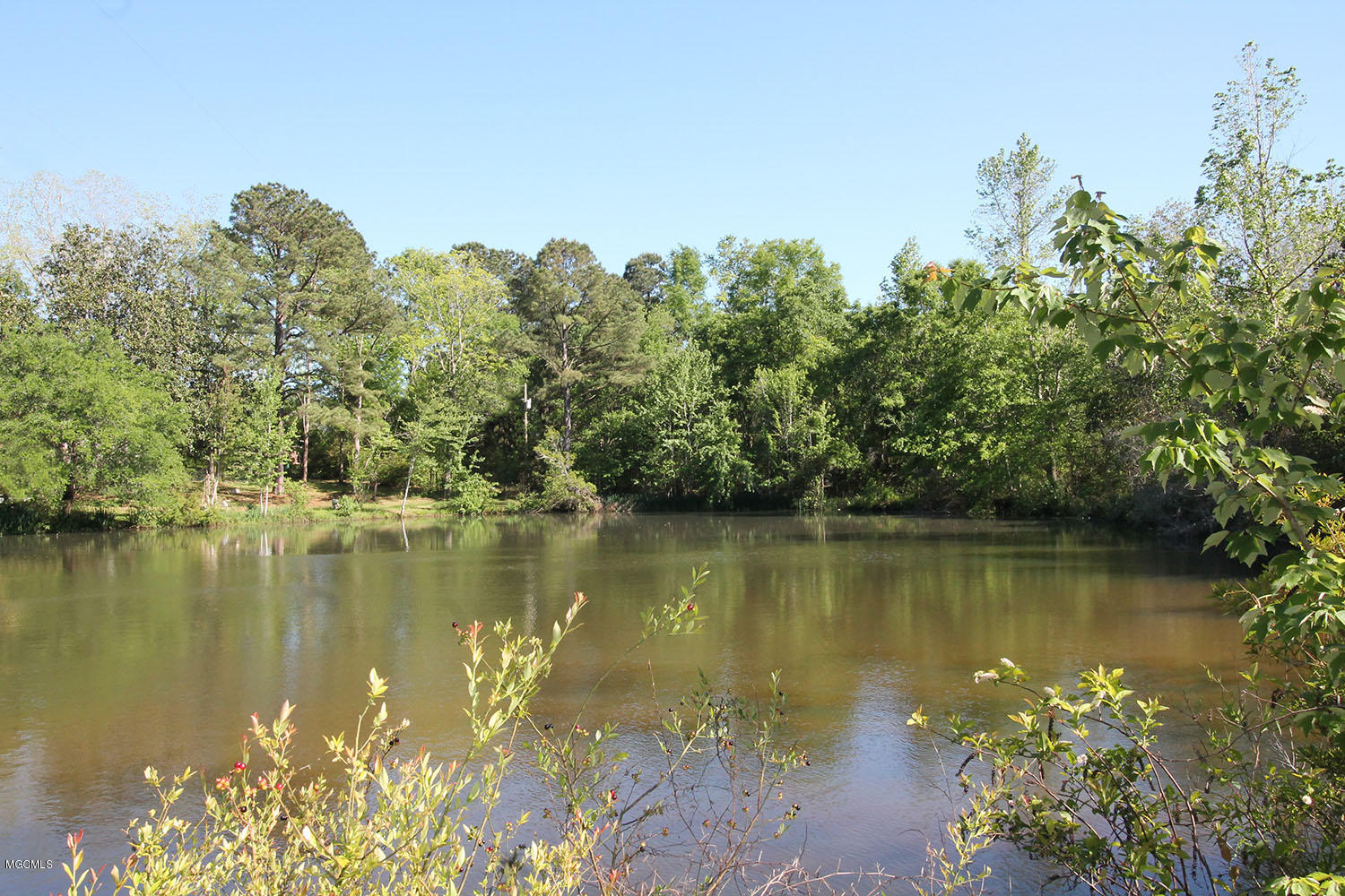 120 Buddy Finch Road Lucedale, MS 39452 - Photo 28 of 33 28