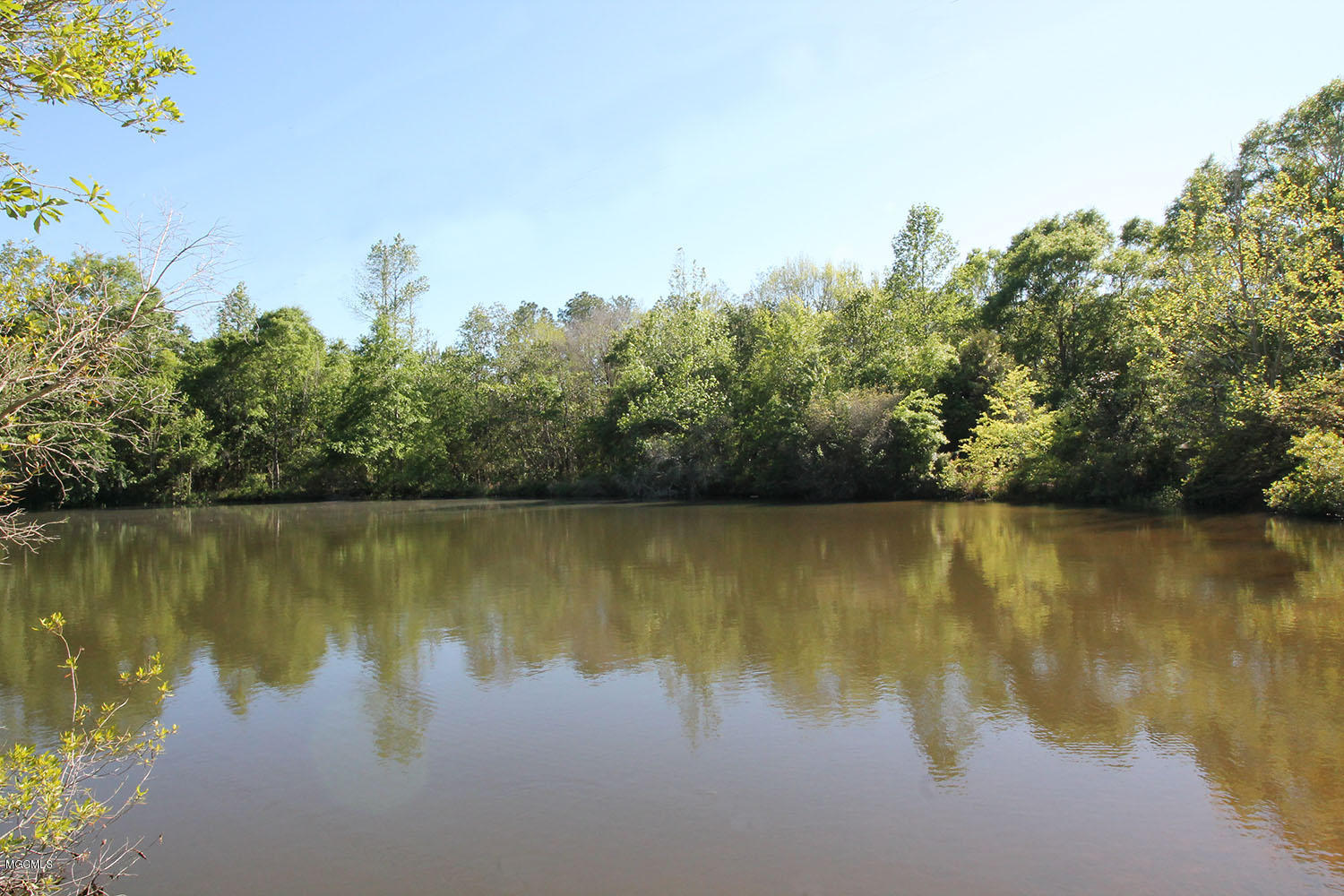 120 Buddy Finch Road Lucedale, MS 39452 - Photo 29 of 33 29
