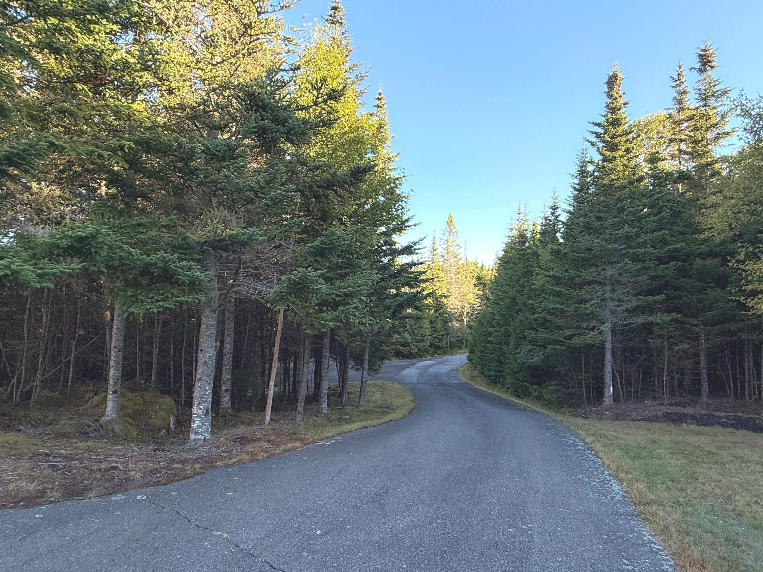 613 Yoho Head Road Machiasport, ME 04655 - Photo 83 of 97 Private Driveway to Property