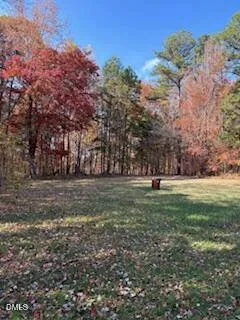 a view of outdoor space with green space