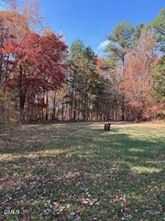 3350 Tungsten Mine Road Bullock, NC 27507 - Photo 4 of 4 a view of outdoor space with green space