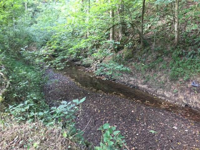 3003-3005 Knob Creek Road Bybee, TN 37713 - Photo 15 of 23 IMG_4642