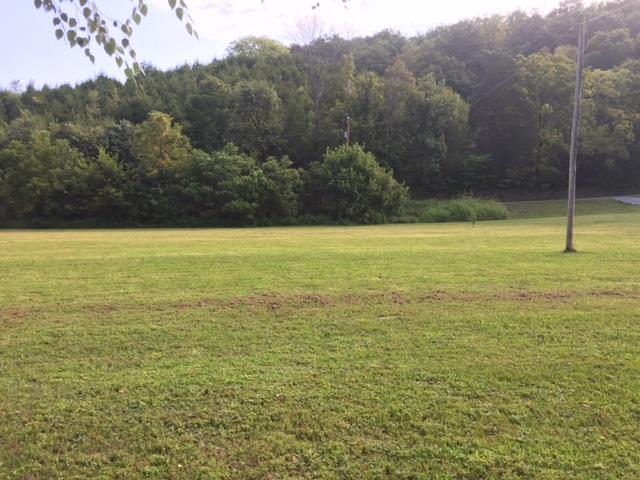 3003-3005 Knob Creek Road Bybee, TN 37713 - Photo 3 of 23 IMG_4639