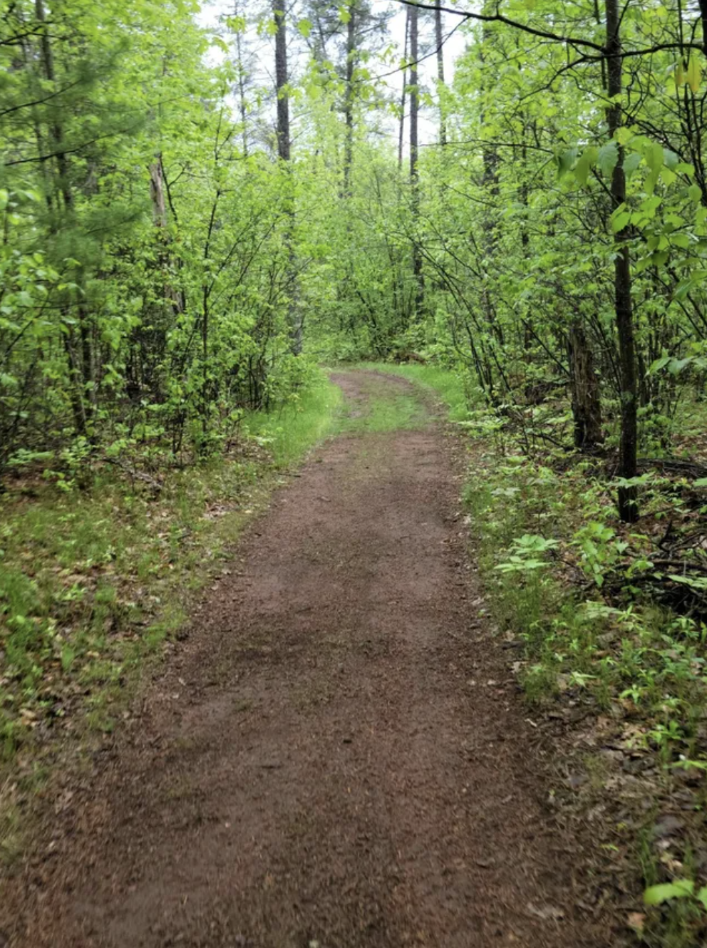 82348 Bennett Road Willow River, MN 55795 - Photo 7 of 27