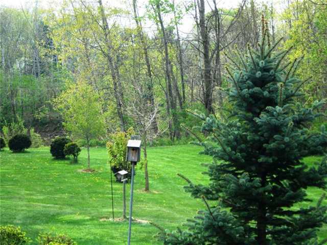 7101 Refugee Road Southwest Pataskala, OH 43062 - Photo 4 of 18