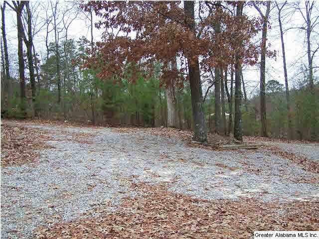 193 Coosa View Lane Riverside, AL 35135 - Photo 20 of 23
