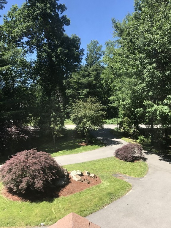 274 Old Farm Road Milton, MA 02186 - Photo 4 of 29 Gallery Image 4