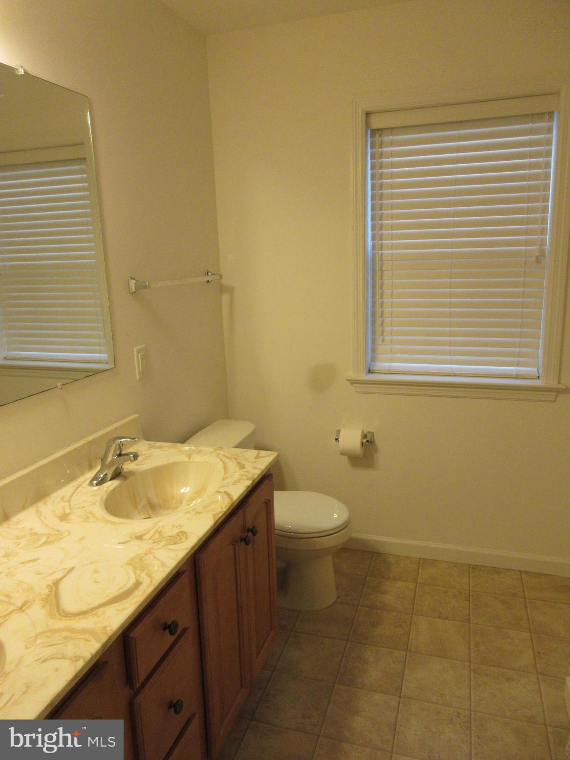 737 Palmer Circle Lititz, PA 17543 - Photo 11 of 22 first floor master bath