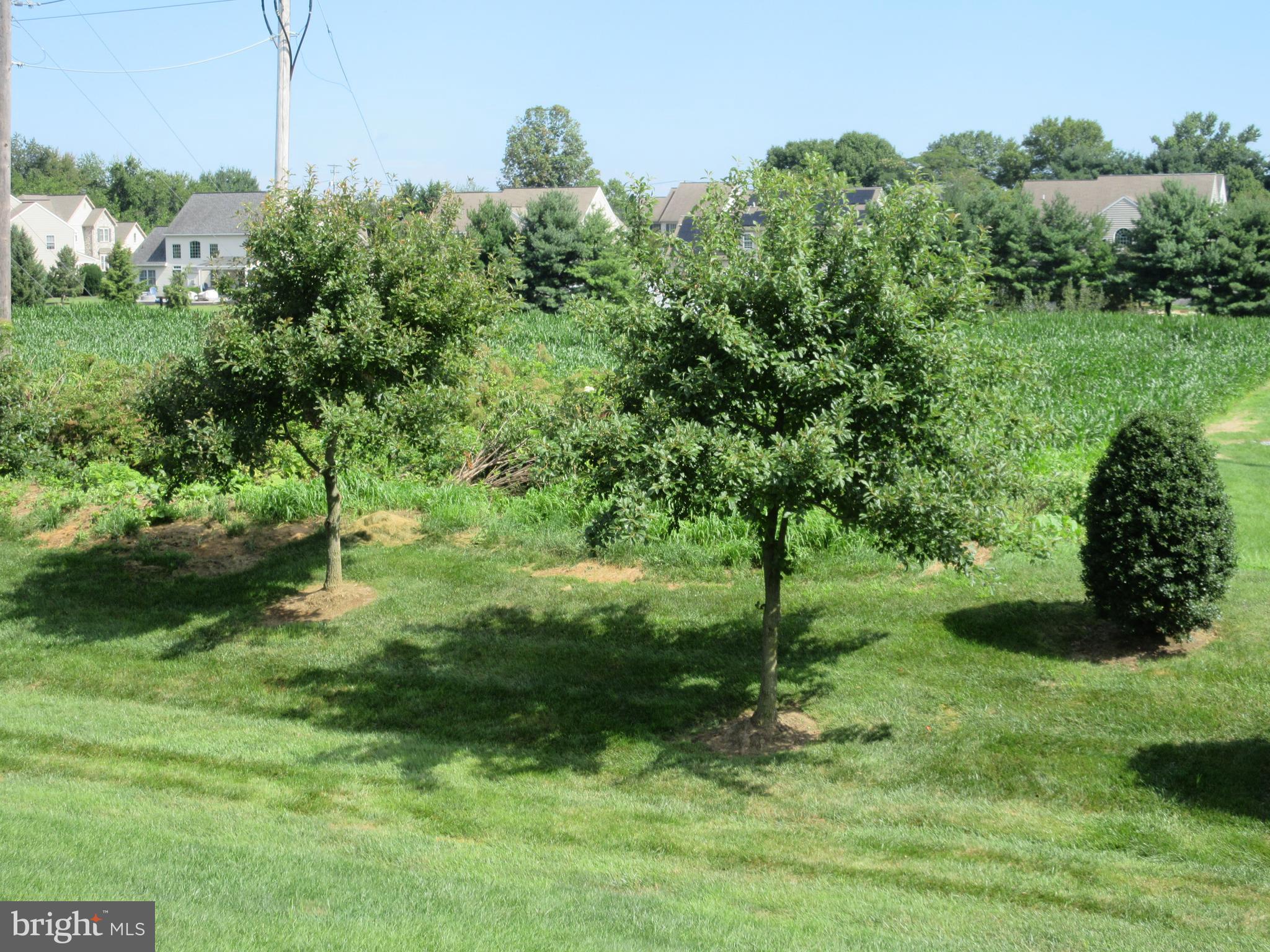 737 Palmer Circle Lititz, PA 17543 - Photo 4 of 22 open space behind home