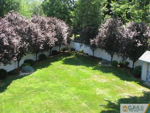 121 New Market Road Dunellen, NJ 08812 - Photo 5 of 23 a view of backyard with green space