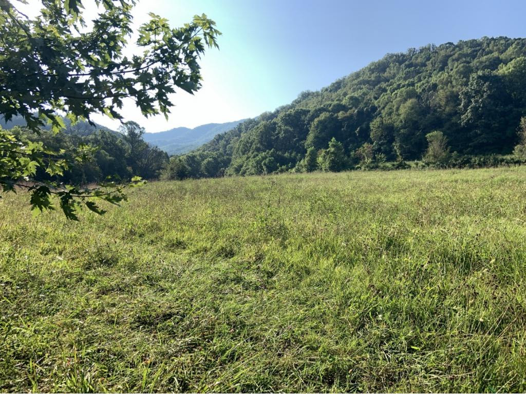 0 Rollins Chapel Road Greeneville, TN 37743 - Photo 1 of 3 Photo 1