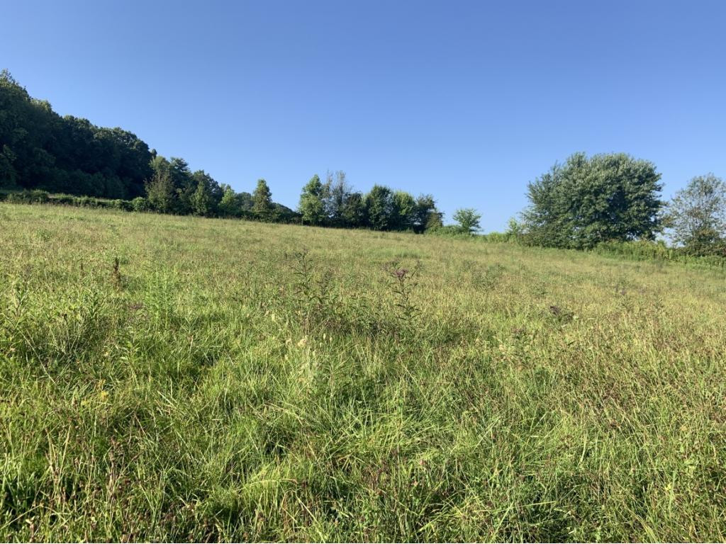0 Rollins Chapel Road Greeneville, TN 37743 - Photo 3 of 3 Photo 3