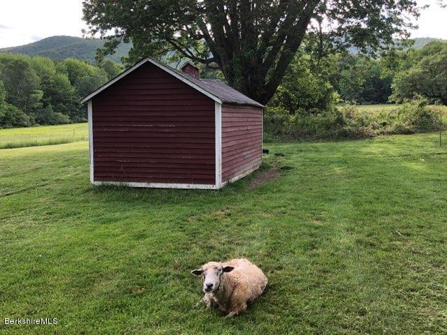 905 Hancock Road Williamstown, MA 01267 - Photo 6 of 37 Historic outbuilding with lone sheep
