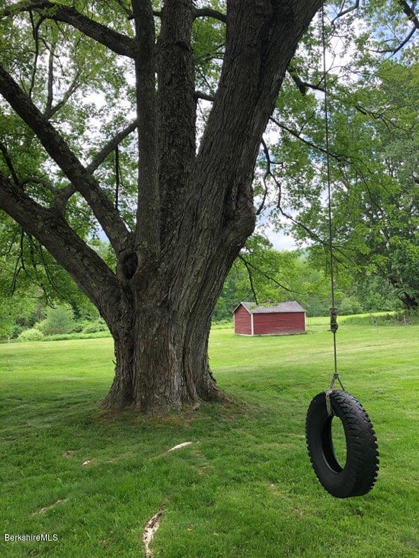 905 Hancock Road Williamstown, MA 01267 - Photo 9 of 37 Tire swing