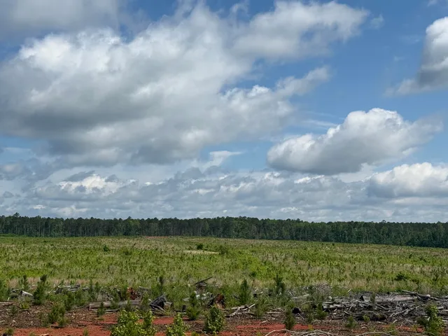 $118,900 | 300 Hwy 378 W Edgefield Sc 29824, McCormick, SC 29835