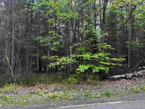 $45,000 | 14 Oak Lane, Grantham, NH 03753
