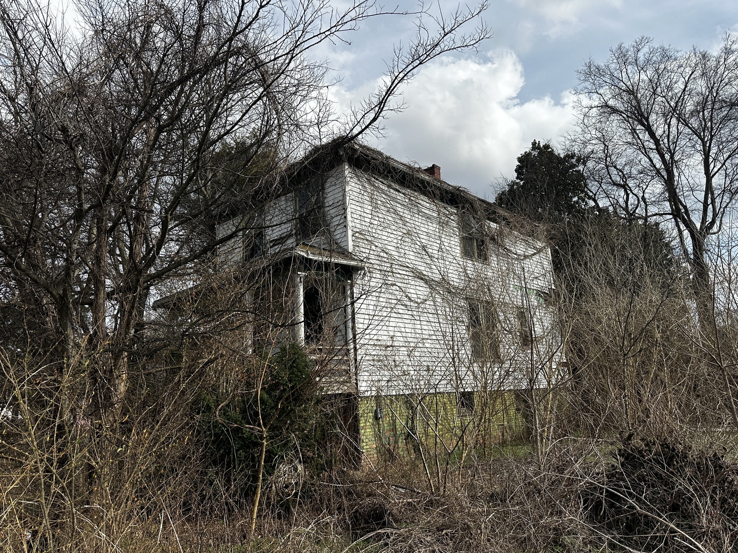 725 24th Street Cairo, IL 62914 - Photo 2 of 3