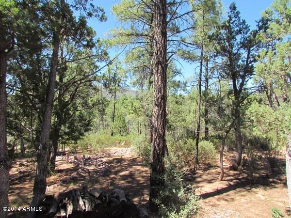 5589 Solitude Trail Loop Pine, AZ 85544 - Photo 36 of 40 mini-IMG_7832