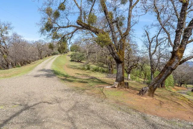 a view of empty space with large trees