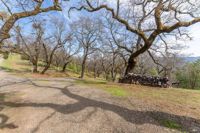 a view of road with trees