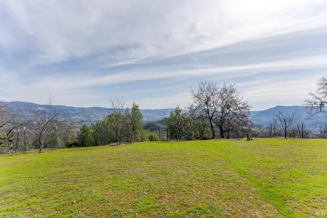 a view of dirt field with large trees