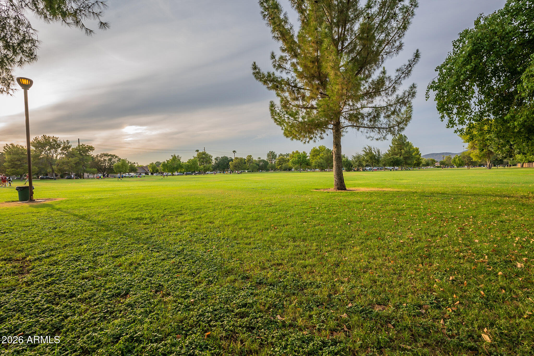 1715 West Orchid Lane Phoenix, AZ 85021 - Photo 52 of 62 Lush fields and trees
