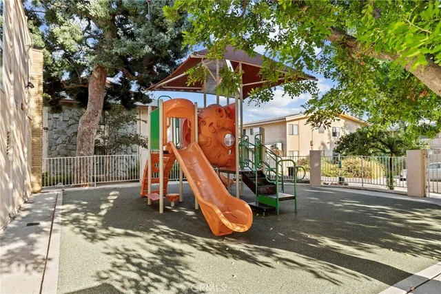 a park with large trees