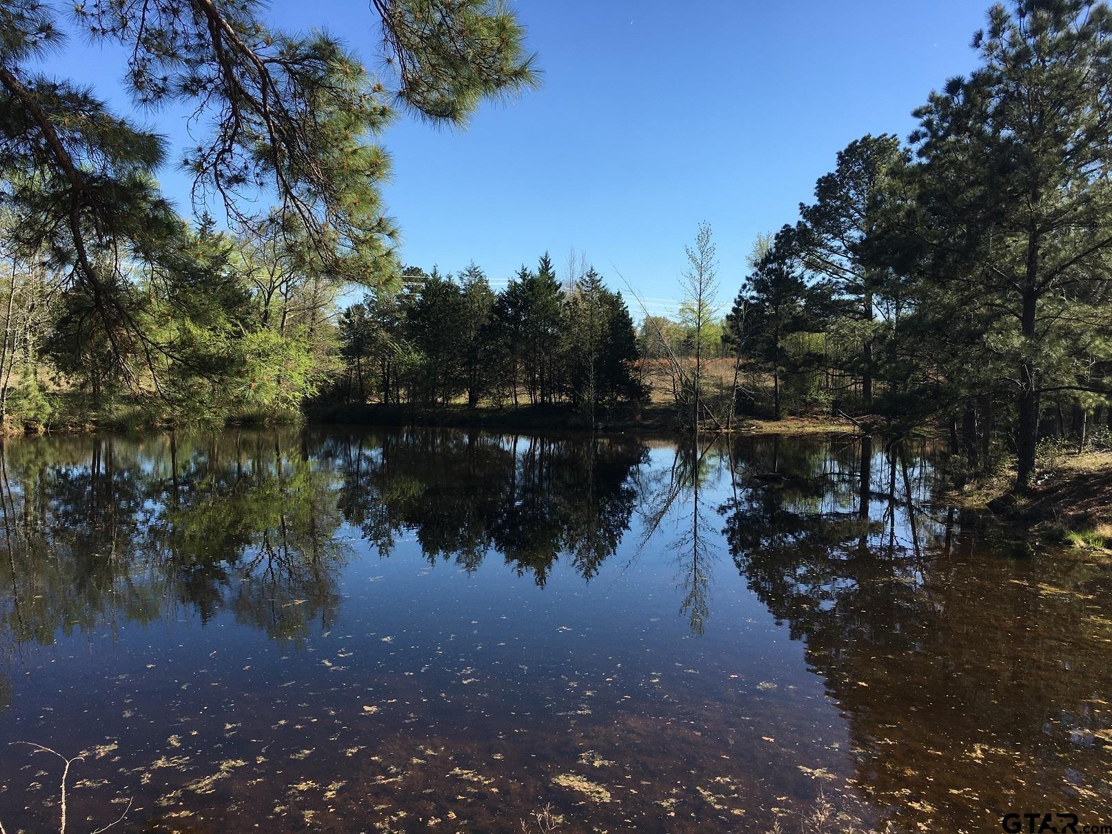 12721 Ridgeway Court Winona, TX 75792 - Photo 2 of 10