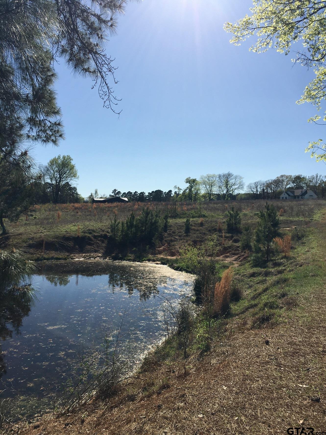 12721 Ridgeway Court Winona, TX 75792 - Photo 3 of 10