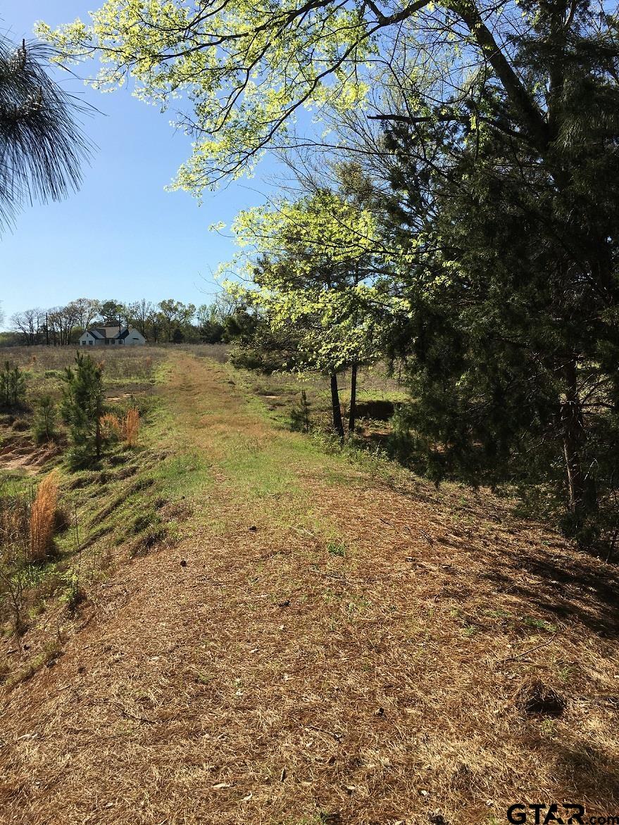 12721 Ridgeway Court Winona, TX 75792 - Photo 4 of 10