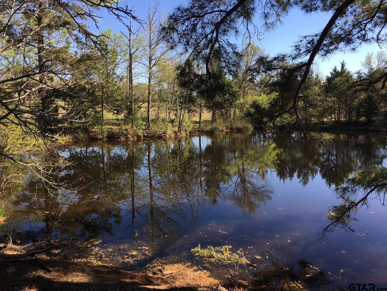 12721 Ridgeway Court Winona, TX 75792 - Photo 5 of 10
