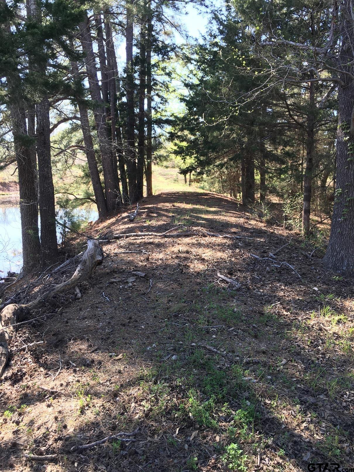 12721 Ridgeway Court Winona, TX 75792 - Photo 6 of 10