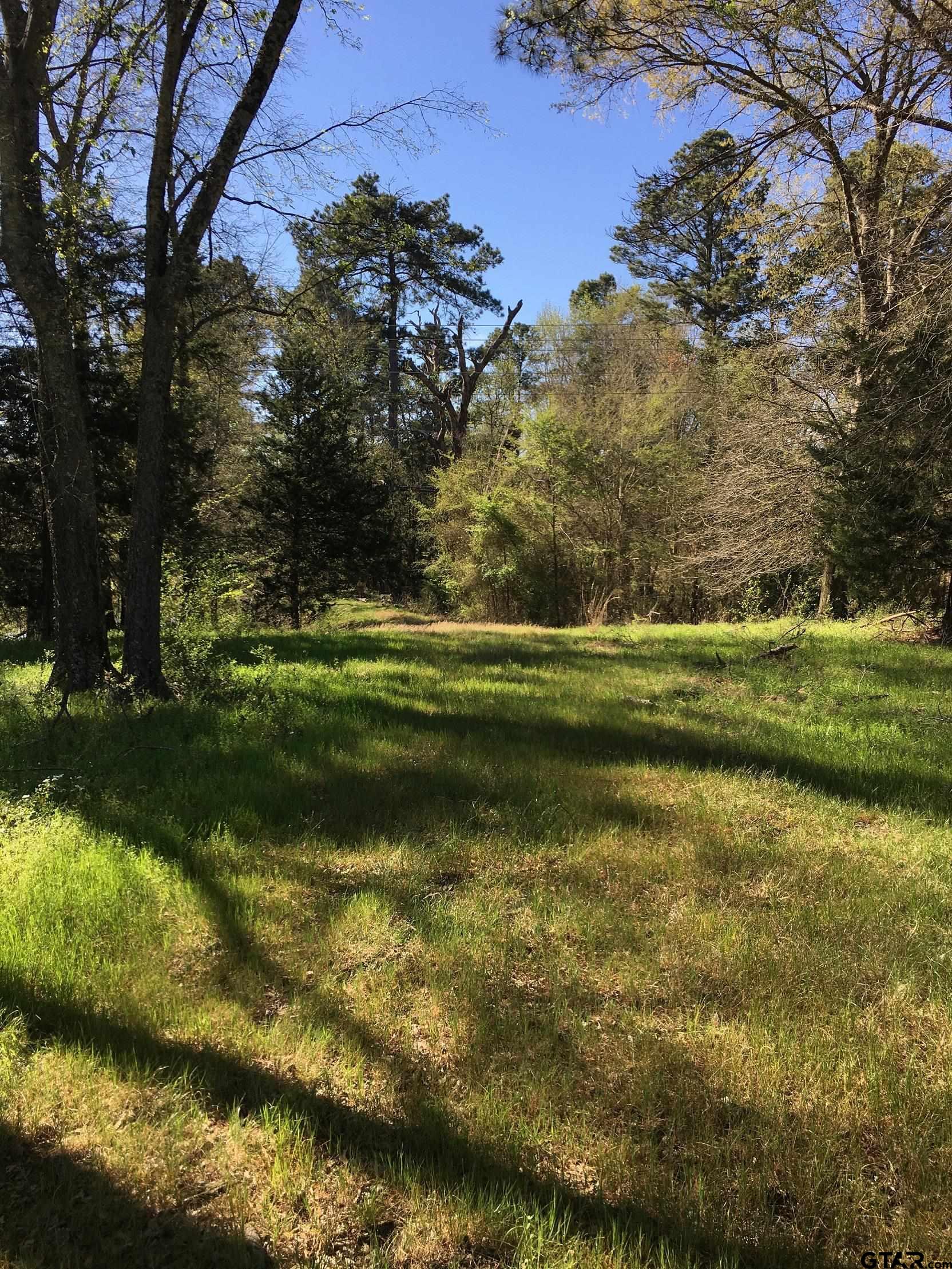 12721 Ridgeway Court Winona, TX 75792 - Photo 7 of 10