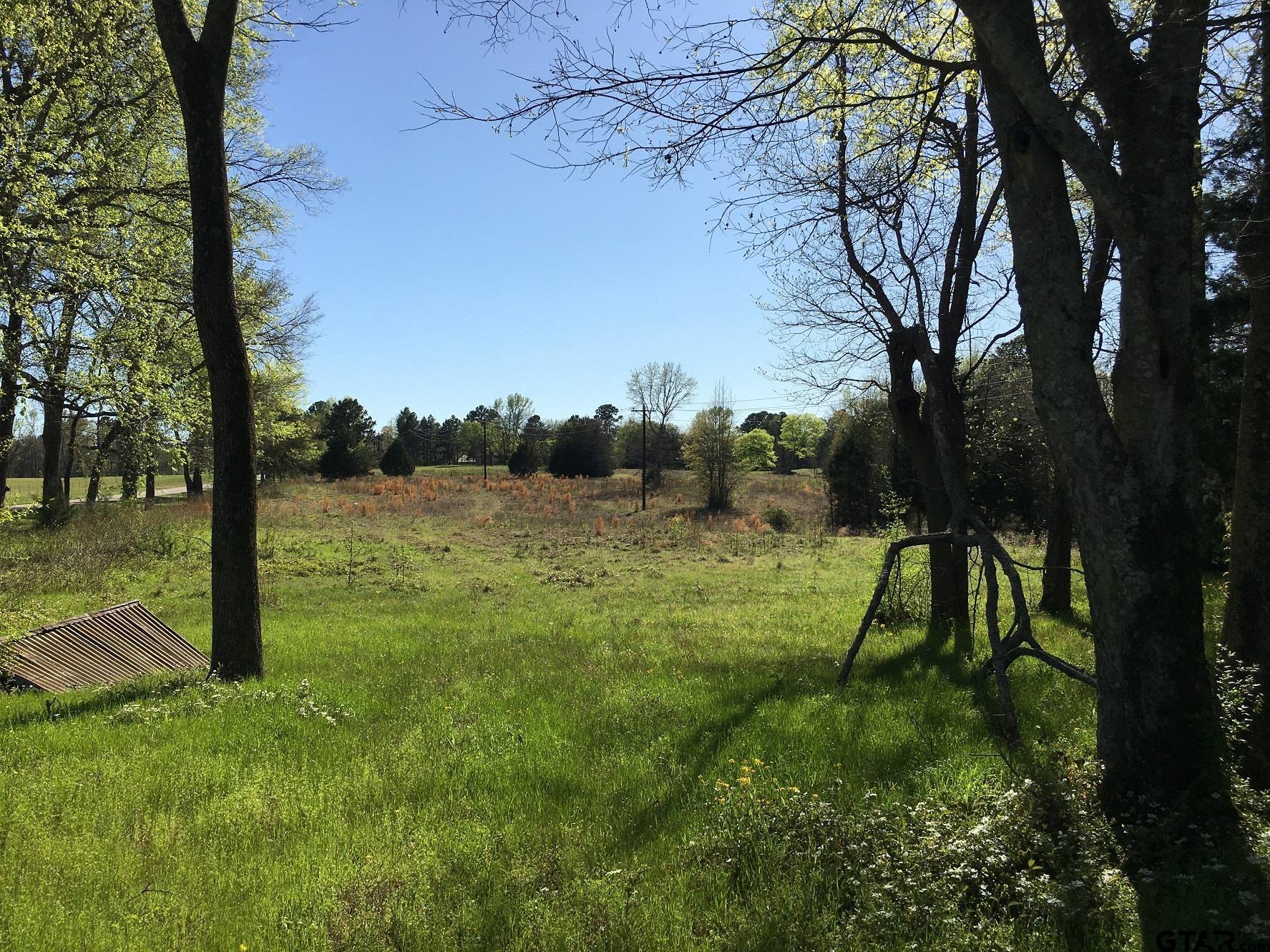 12721 Ridgeway Court Winona, TX 75792 - Photo 8 of 10