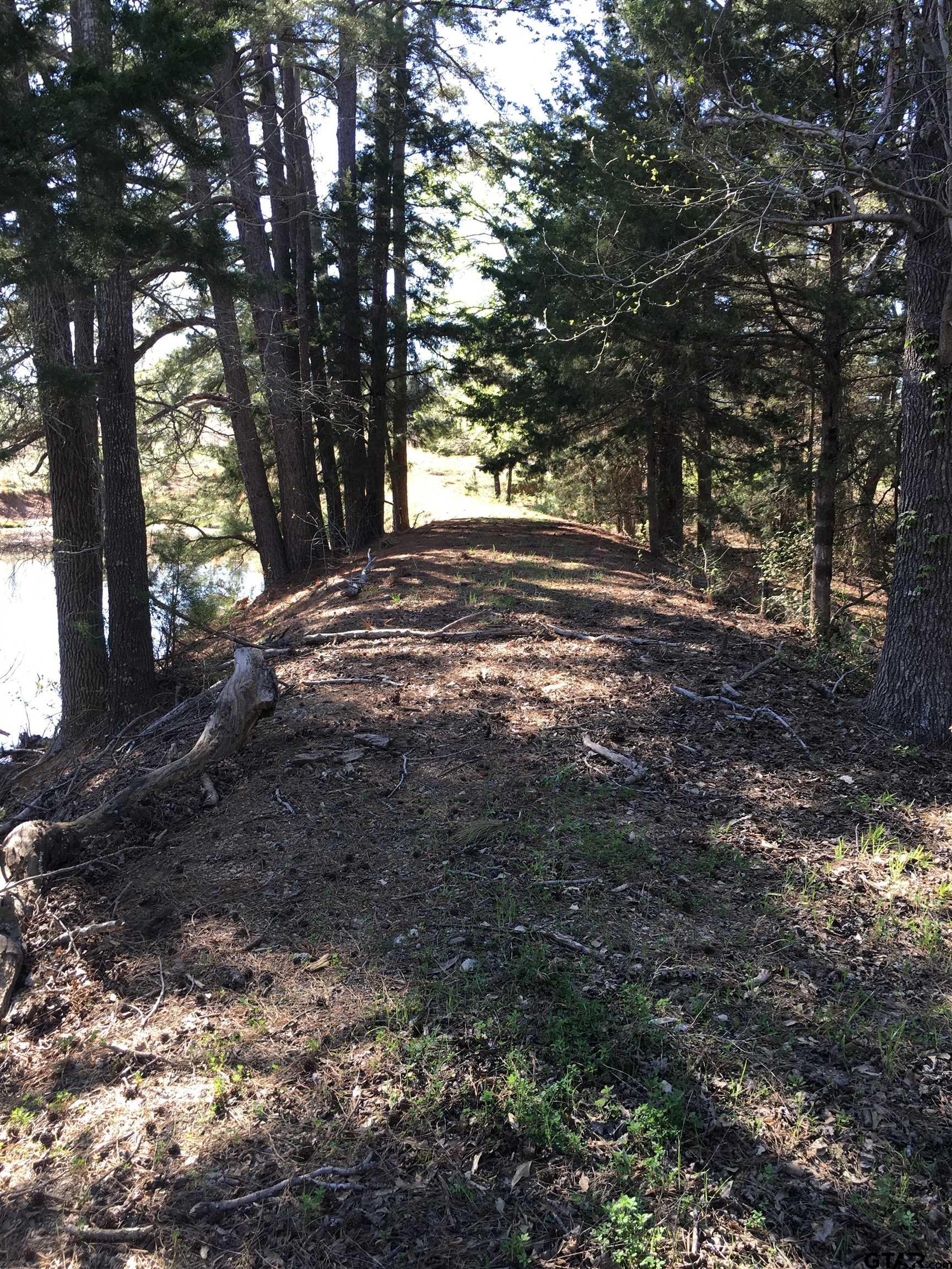 12721 Ridgeway Court Winona, TX 75792 - Photo 10 of 10