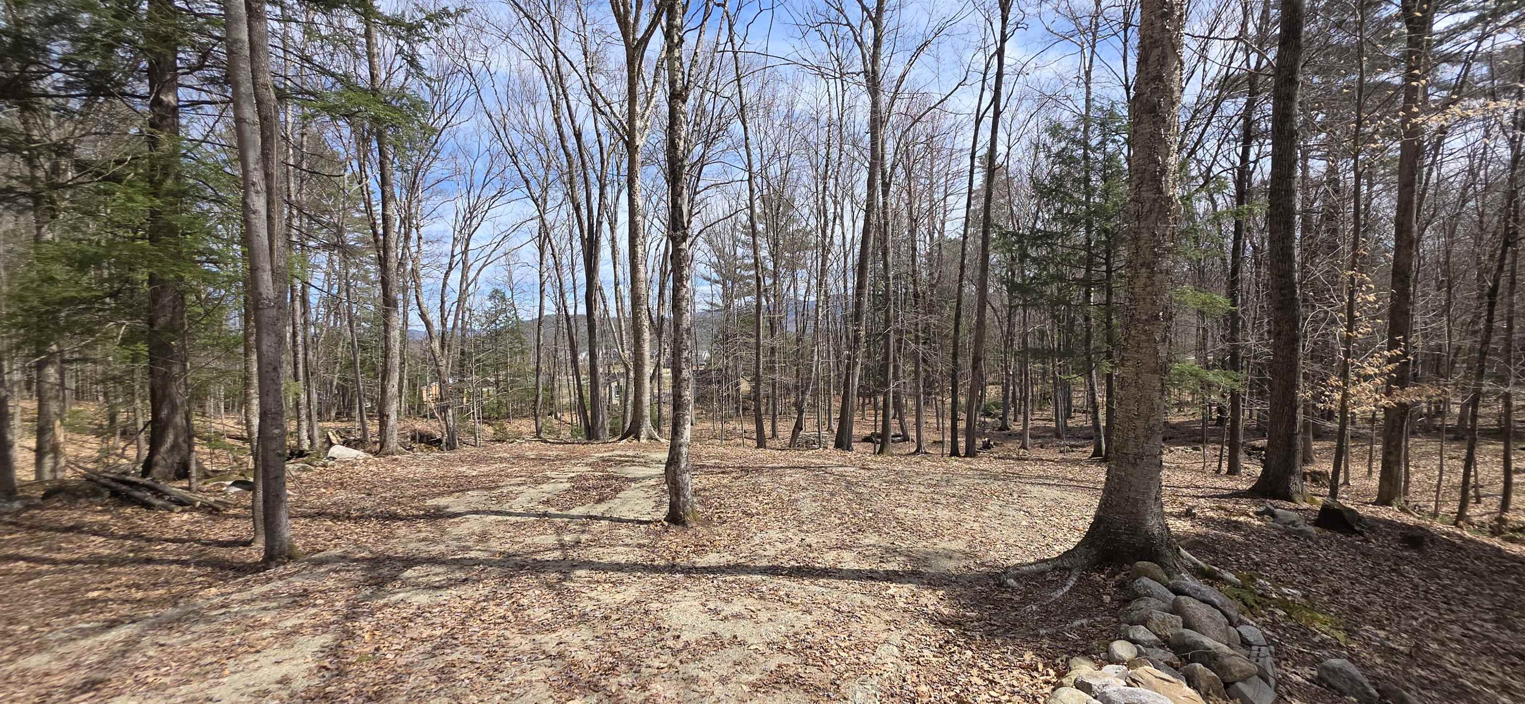 Mitchell Road Thornton, NH 03285 - Photo 2 of 8