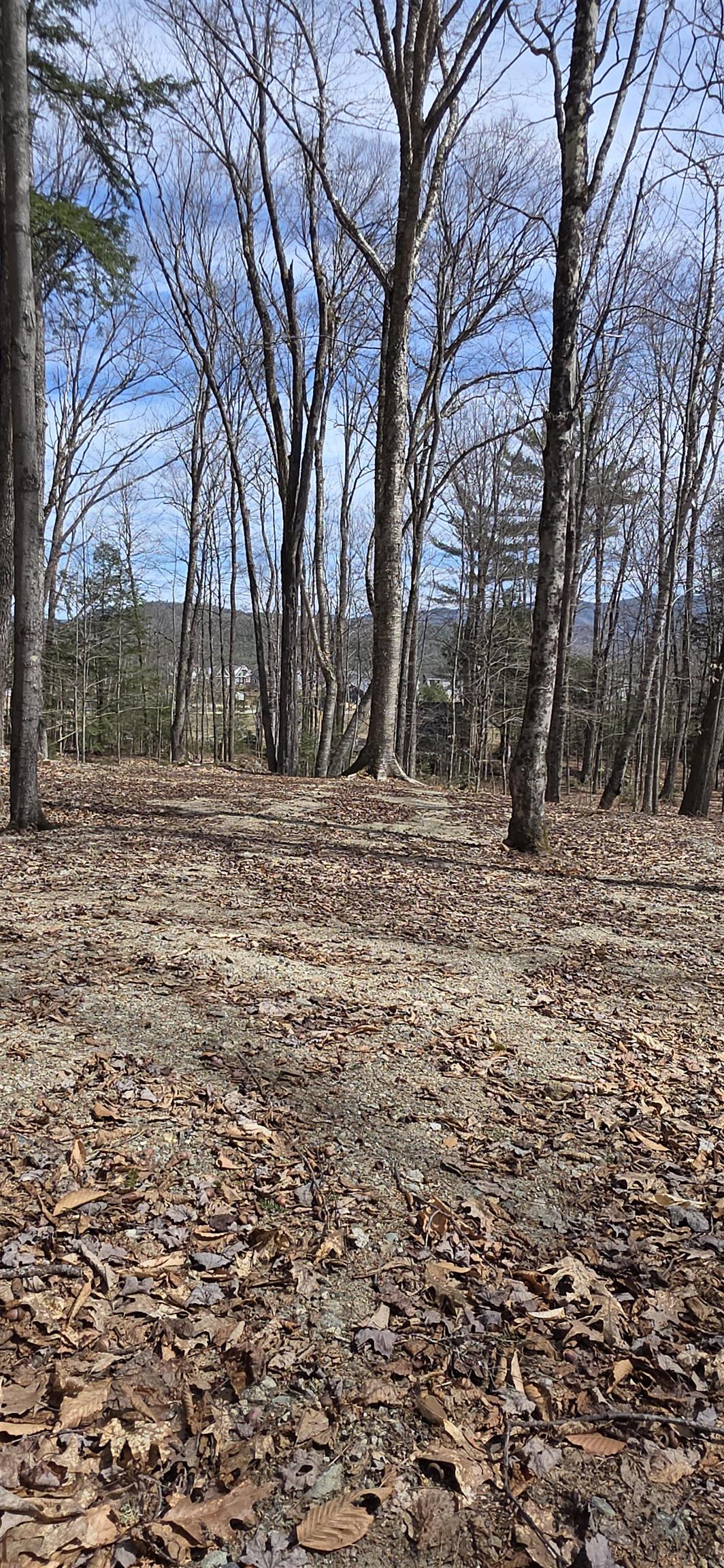 Mitchell Road Thornton, NH 03285 - Photo 8 of 8