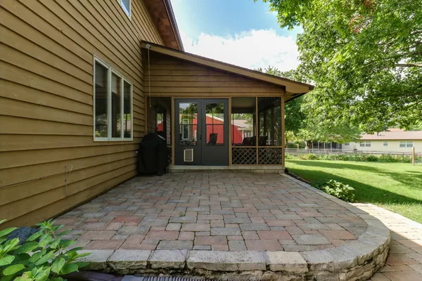 a view of a tree in a park
