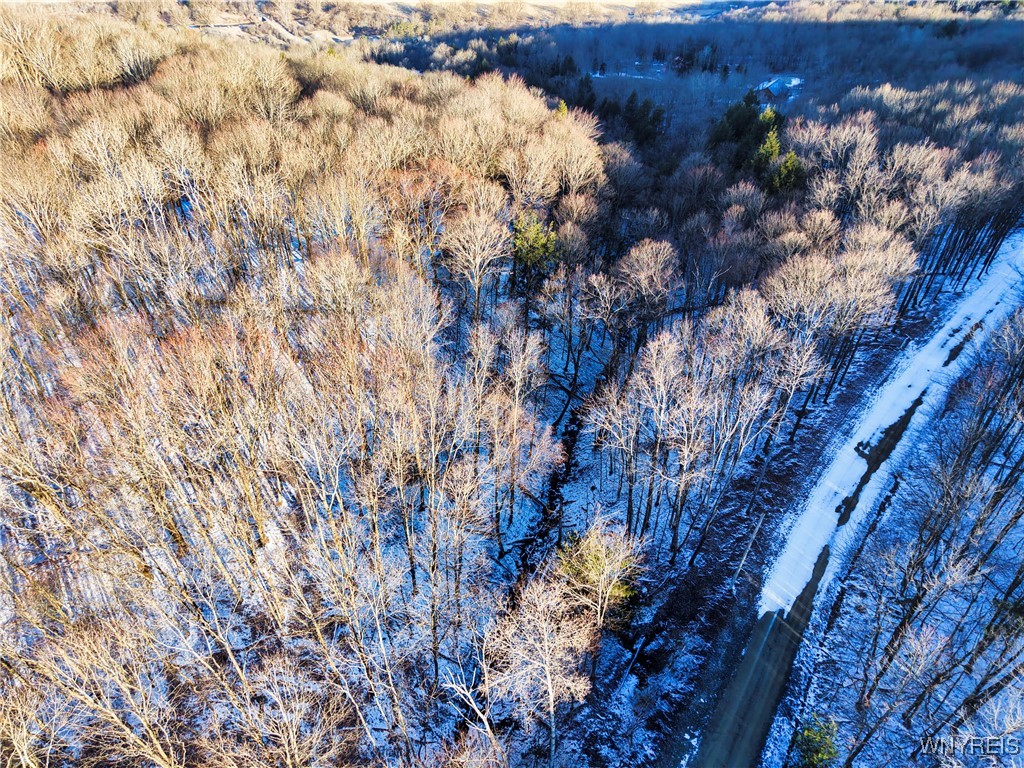 10-11 Creek Ridge Road Ellicottville, NY 14731 - Photo 13 of 16