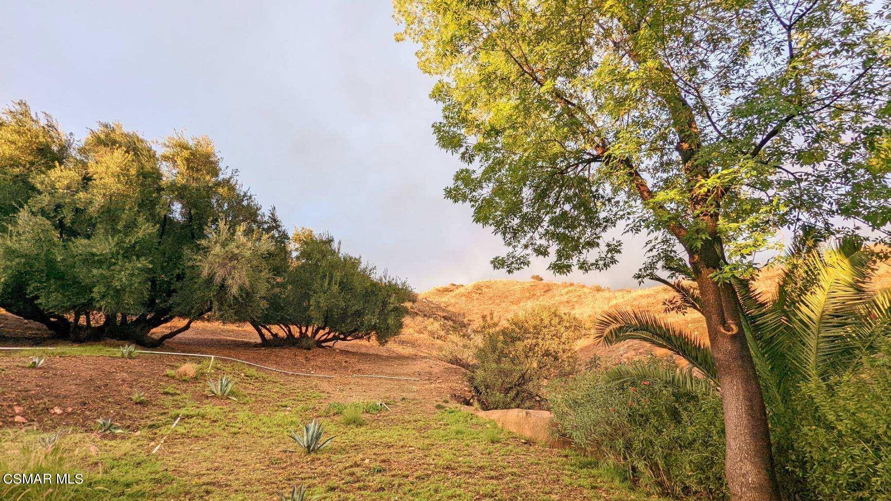 9758 Vía Roma Burbank, CA 91504 - Photo 8 of 8 a view of outdoor space yard and trees