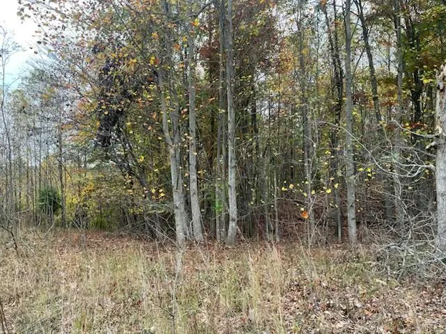 $69,500 | 580 Preservation Drive, South Pittsburg, TN 37380