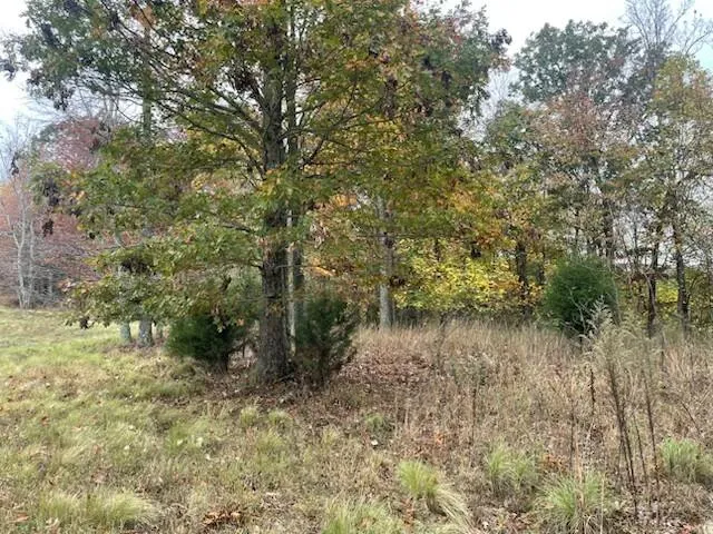 $69,500 | 580 Preservation Drive, South Pittsburg, TN 37380