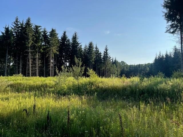 0 East Stockwell Road Harrison, MI 48625 - Photo 10 of 34