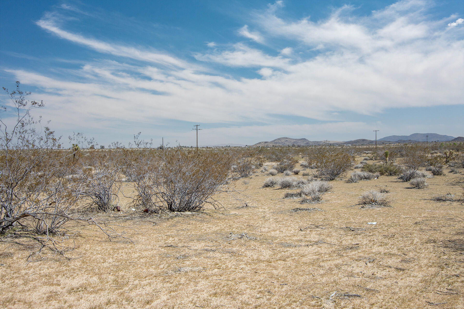 57628 Pine Street Landers, CA 92285 - Photo 12 of 25