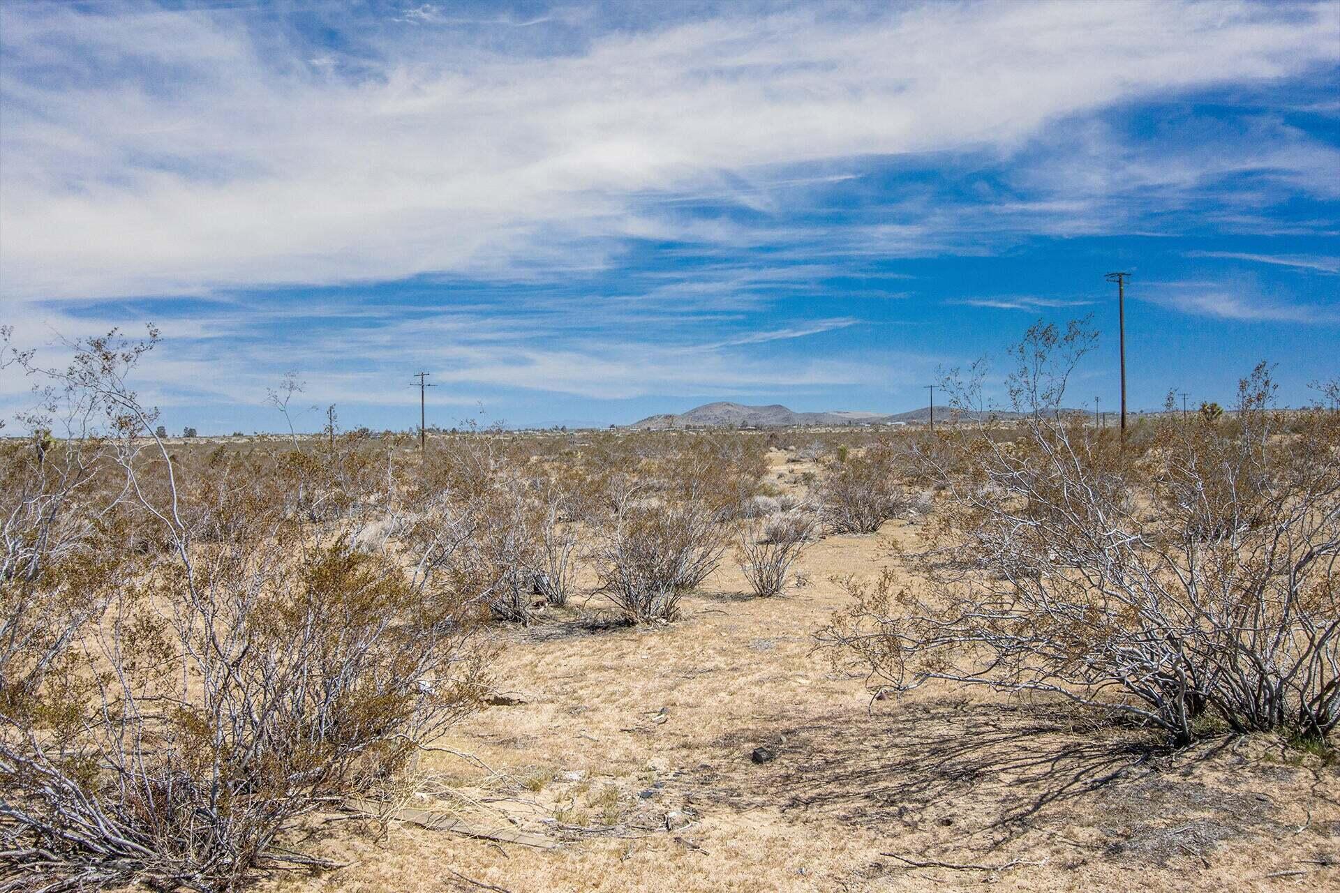 57628 Pine Street Landers, CA 92285 - Photo 14 of 25 a view of a dry yard