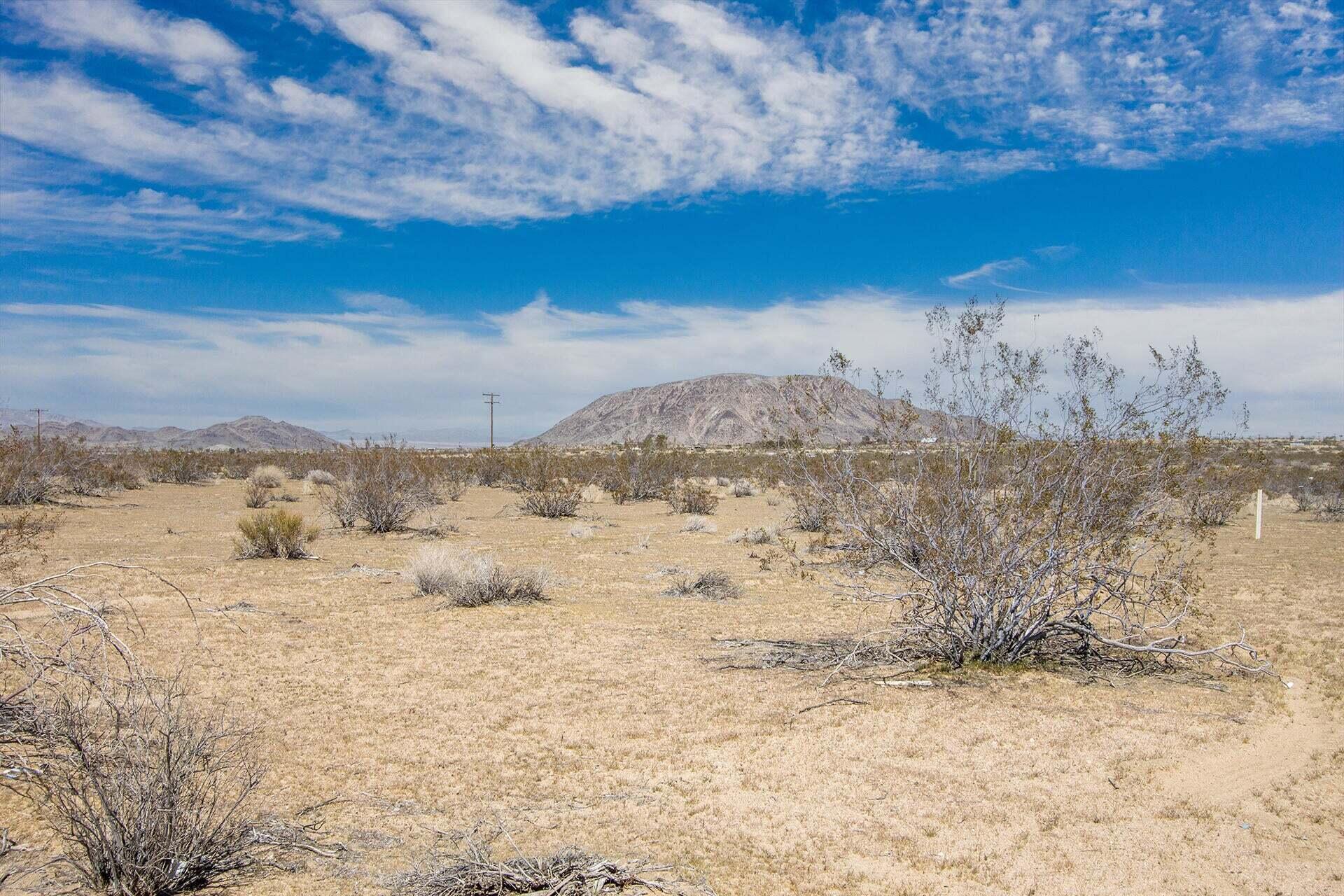 57628 Pine Street Landers, CA 92285 - Photo 4 of 25 a view of a sky