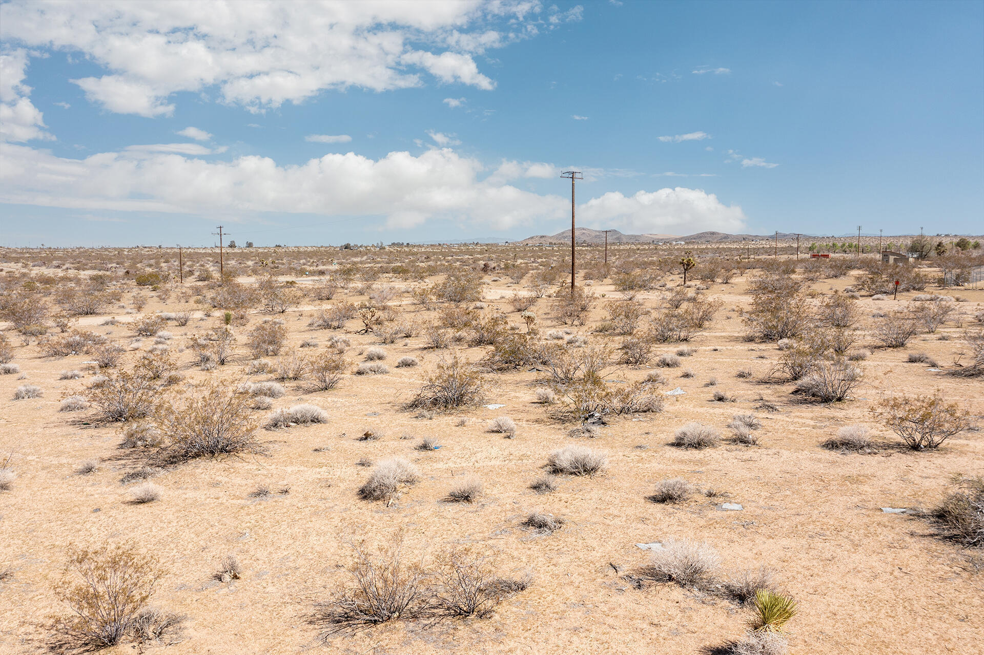 57628 Pine Street Landers, CA 92285 - Photo 8 of 25 a view of a dry yard with wooden fence