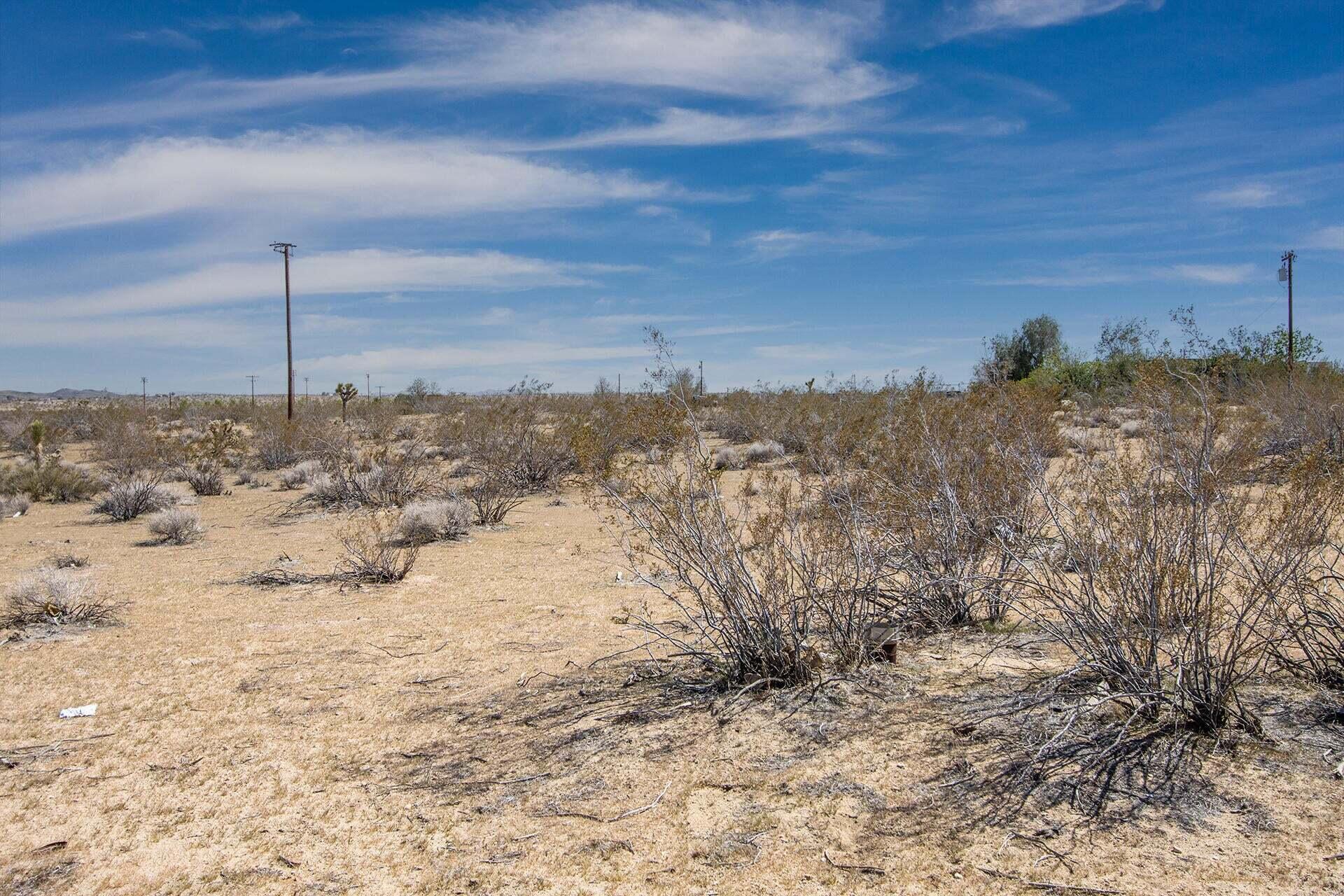 57628 Pine Street Landers, CA 92285 - Photo 10 of 25 a view of beach and snow