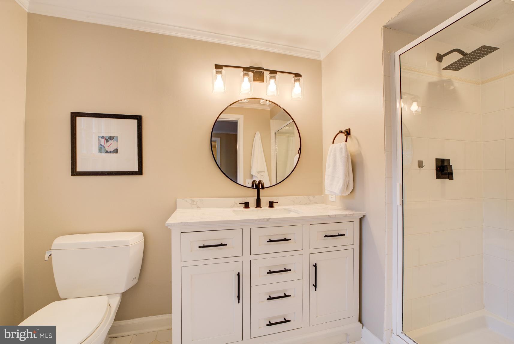 9116 Wooden Bridge Road Potomac, MD 20854 - Photo 16 of 22 a bathroom with a toilet a sink and a mirror