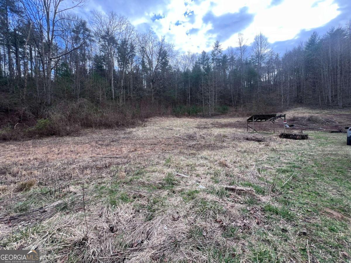 1-2 Ed Graves Road Murphy, NC 28906 - Photo 1 of 1 a view of a backyard